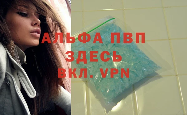 стаф Вяземский
