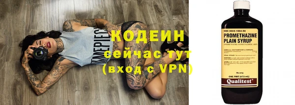 ГАЛЛЮЦИНОГЕННЫЕ ГРИБЫ Горно-Алтайск