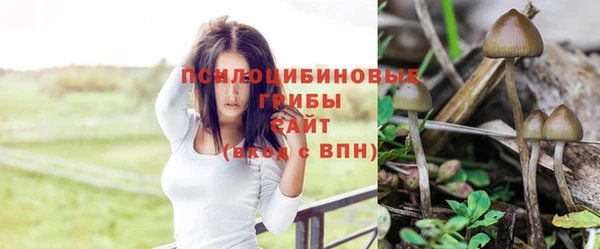 прущие крисы Вязьма