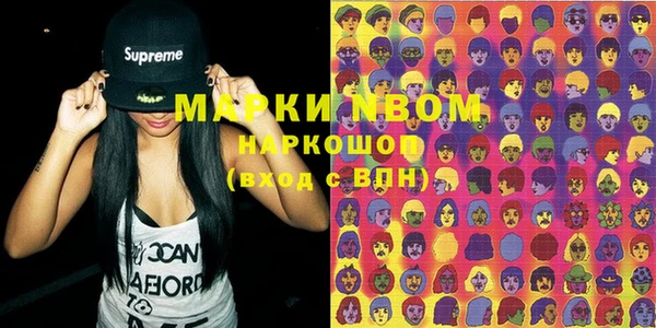 стаф Вяземский
