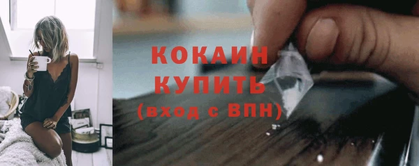 ГАЛЛЮЦИНОГЕННЫЕ ГРИБЫ Горно-Алтайск