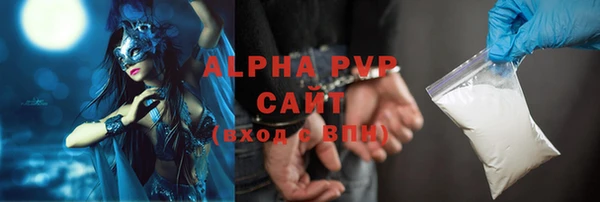 стаф Вяземский