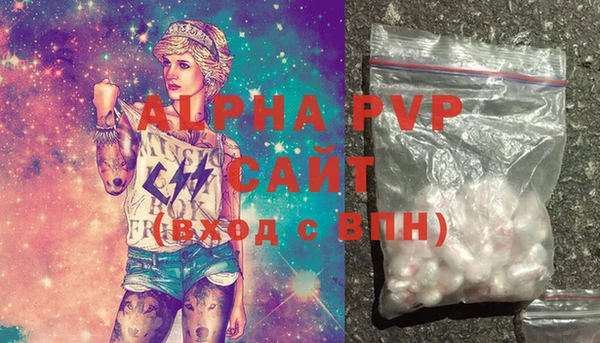 молекула духа Снежногорск
