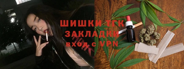 ГАЛЛЮЦИНОГЕННЫЕ ГРИБЫ Горно-Алтайск
