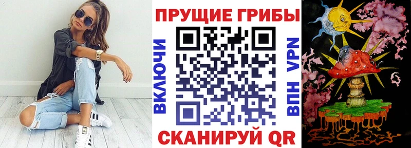 blacksprut как войти  Калуга  Галлюциногенные грибы Psilocybe 