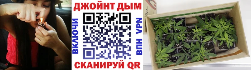 Конопля White Widow  наркотики  Калуга 